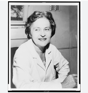 Maria Telkes : सूर्य की शक्ति को समझने वाली मरिया टेल्क्स की जन्म दिन गुगल ने डूडल बनाकर मनाया 2 maria telkes