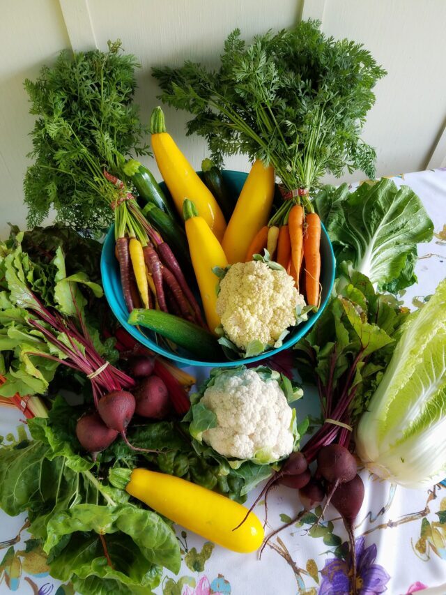 7 Best vegetables for diabetics These 7 effective vegetables for sugar patients