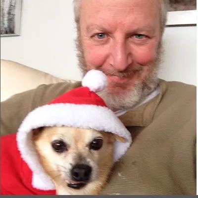 Actor Daniel Stern wearing a Santa hat holding a small dog